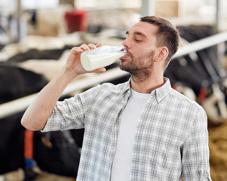 Milchproduktion steigern