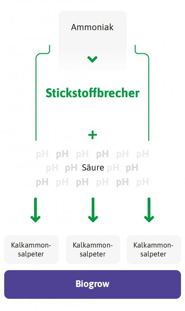 Illustration vom Stickstoffbrecher – Ammoniak verarbeiten