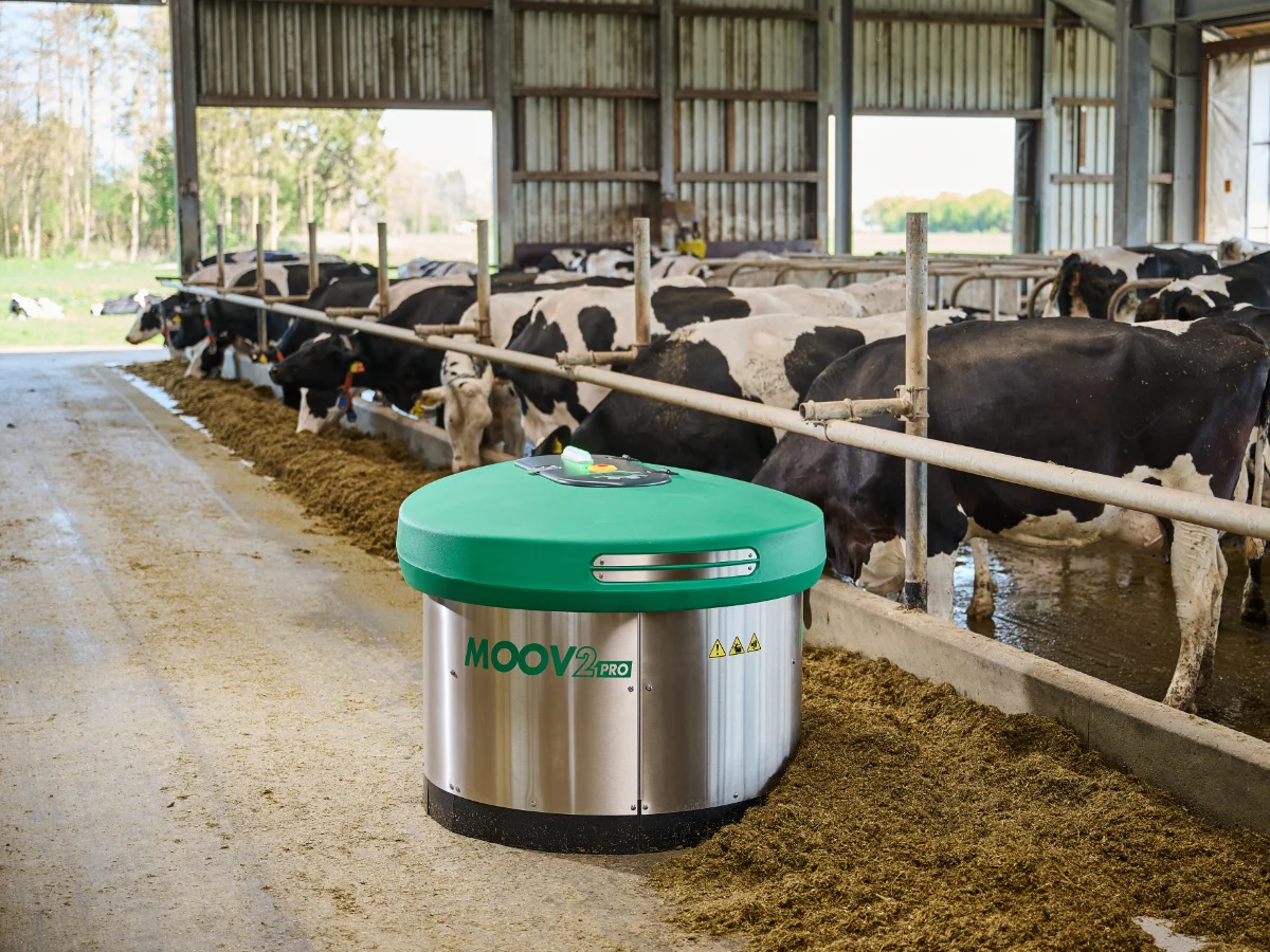 Der automatische Futteranschieber Moov 2PRO vom JOZ Fachzentrum Nord im Einsatz im Kuhstall sorgt für frisches Futter und saubere Futtergänge.